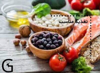 تغذیه سالم و مغذی تاثیر بسیار بالایی بر بدن و بویژه قلب دوم انسان دارد زیرا با رسیدن مواد مورد نیاز بدن به بدن روند ساختار پروتئین سازی و عملکرد بهتر بدم کمک شایانی میکند