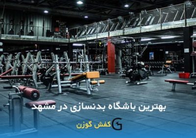 در این مقاله به بررسی چند باشگاه برتر بدنسازی در مشهد پرداخته ایم.